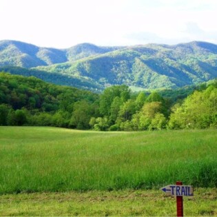 Scenic mountain views Our front yard
